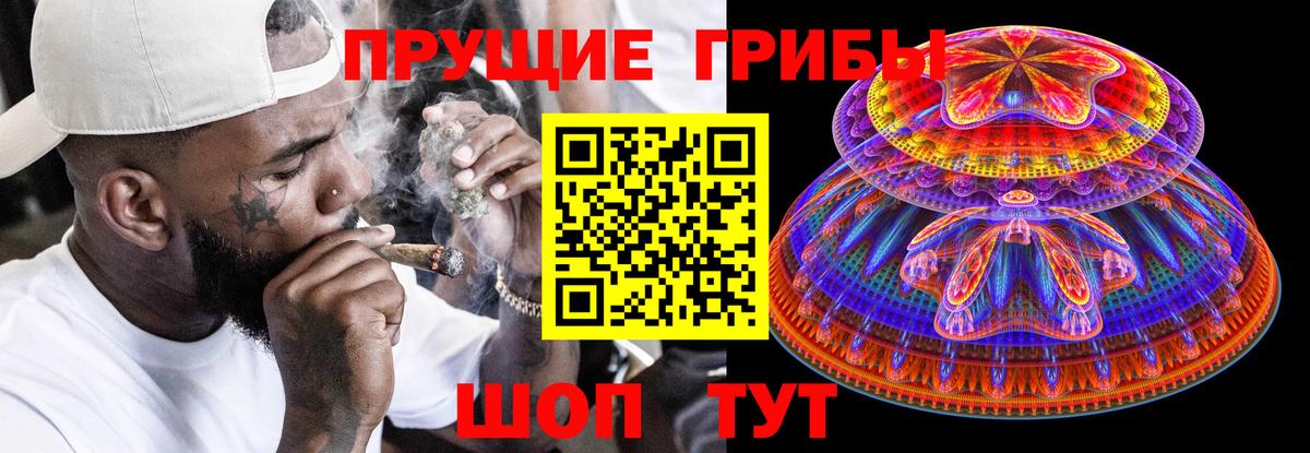 Псилоцибиновые грибы GOLDEN TEACHER  Вход с VPN  Корсаков 
