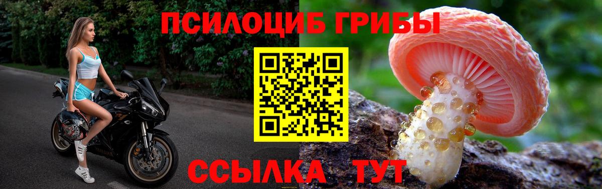 Псилоцибиновые грибы Psilocybine cubensis Корсаков